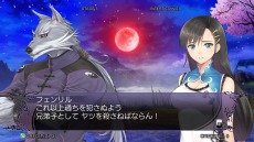 画像ギャラリー No.008のサムネイル画像 / 「ブレードアークス from シャイニングEX」サクヤ(CV:水樹奈々)とフェンリル(CV:稲田 徹)のストーリーが明らかに