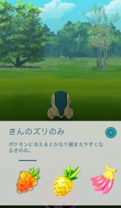 画像ギャラリー No.032のサムネイル画像 / 「Pokémon GO」，大型アップデートでジムが生まれ変わる。レイドバトルも披露されたプレス向けデモツアーをレポート