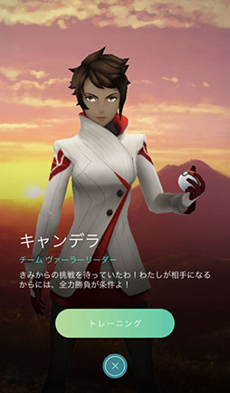 画像ギャラリー No.045のサムネイル画像 / 今からでも，また始めても楽しい！　変化を続ける「ポケモンGO」の“今”を「ポケットモンスター Let's Go! ピカチュウ・Let's Go! イーブイ」との連動方法とともに紹介