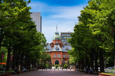 画像ギャラリー No.002のサムネイル画像 / 「Pokémon GO Fest 2022 Sapporo」ではピカチュウ ランウェイや札幌市電とのコラボなどを開催予定。イベントの最新情報が一挙公開に