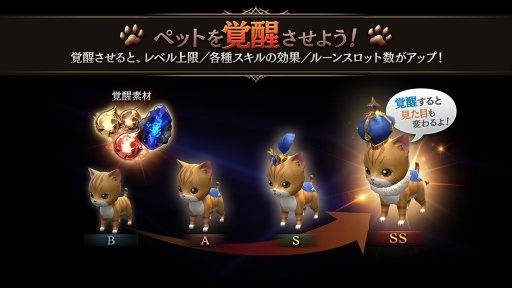 画像ギャラリー No.012のサムネイル画像 / 「ロストキングダム」，大型アップデートの情報第3弾「ペット」を公開。紹介PVも