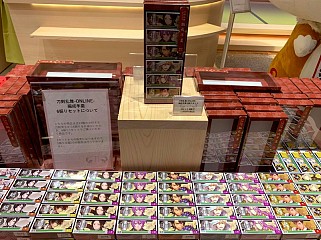 画像ギャラリー No.021のサムネイル画像 / 結のほえほえゲーム演説：第100回「徹底攻略！　渋谷PARCOのゲームフロア！」