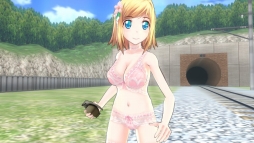 画像ギャラリー No.004のサムネイル画像 / 「バレットガールズ2」,14人のバレットガールズが描かれたパッケージビジュアルを公開