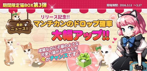 画像ギャラリー No.003のサムネイル画像 / 「マイにゃんカフェ」，10万DL突破記念でアイテムがもらえるクーポンを配布