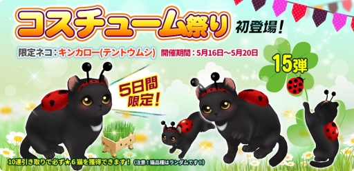 画像ギャラリー No.001のサムネイル画像 / 「マイにゃんカフェ」で限定ネコ「キンカロー(テントウムシ)」が登場するガチャイベント開催