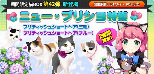 画像ギャラリー No.006のサムネイル画像 / 「マイにゃんカフェ」，新規SPインテリア「紫陽花」が登場。NPCや新規猫の追加も