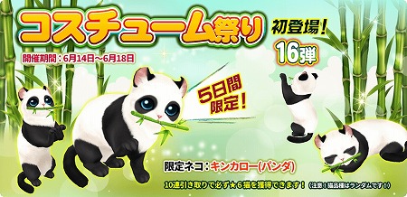 画像ギャラリー No.001のサムネイル画像 / 「マイにゃんカフェ」，ガチャイベント“コスチューム祭り”を開催