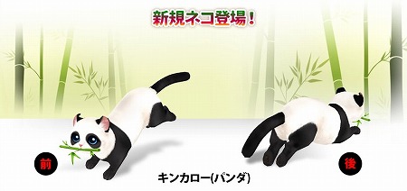 画像ギャラリー No.002のサムネイル画像 / 「マイにゃんカフェ」，ガチャイベント“コスチューム祭り”を開催