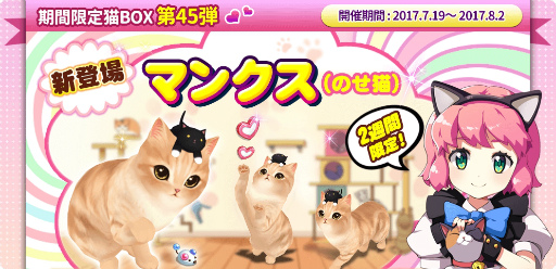 画像ギャラリー No.001のサムネイル画像 / 「マイにゃんカフェ」，ビンゴイベント第15弾＆限定ガチャ第45弾を開催