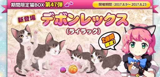 画像ギャラリー No.002のサムネイル画像 / 「マイにゃんカフェ」，期間限定ガチャにデボンレックス（ライラック）が初登場