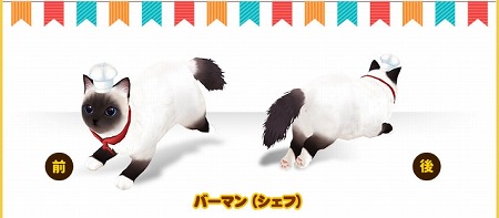 画像ギャラリー No.002のサムネイル画像 / 「マイにゃんカフェ」，ガチャイベント“コスチューム祭り”を開催