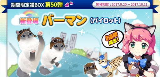 画像ギャラリー No.001のサムネイル画像 / 「マイにゃんカフェ」，第50弾の期間限定猫BOXなど新たなイベントを開催