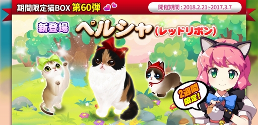 画像ギャラリー No.003のサムネイル画像 / 「マイにゃんカフェ」，期間限定ガチャイベント「猫BOX」第60弾にペルシャが登場