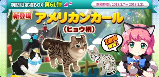 画像ギャラリー No.003のサムネイル画像 / 「マイにゃんカフェ」，リニューアルした“にゃんこパック”や“ホワイトデーイベント”が実装