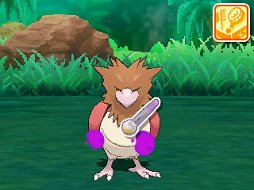 画像ギャラリー No.053のサムネイル画像 / 本日発売「ポケットモンスター サン・ムーン」の新要素をまとめて紹介。新たな舞台「アローラ地方」で,どのようなポケモンと出会えるのか