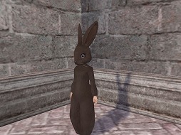画像ギャラリー No.006のサムネイル画像 / 「大航海時代 Online」，3週連続！ 航海者サポートキャンペーンがスタート