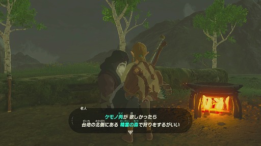 画像ギャラリー No.007のサムネイル画像 / Nintendo Switch「ゼルダの伝説　ブレス オブ ザ ワイルド」プレイレポート。記憶を失ったリンクの旅が，プレイヤーの冒険心をかき立てる