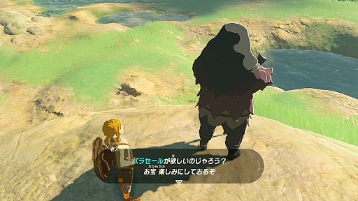 画像ギャラリー No.002のサムネイル画像 / 「ゼルダの伝説 ブレス オブ ザ ワイルド」“知の試練”は本日22：00スタート！　4Gamer作成の練習問題でウォーミングアップ