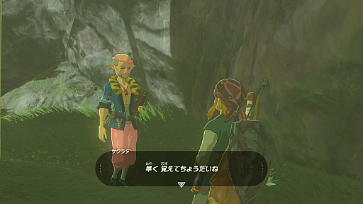 画像ギャラリー No.015のサムネイル画像 / 「ゼルダの伝説 ブレス オブ ザ ワイルド」“知の試練”は本日22：00スタート！　4Gamer作成の練習問題でウォーミングアップ