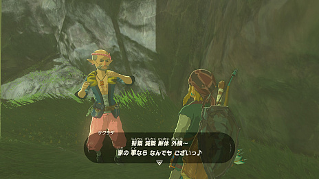 画像ギャラリー No.016のサムネイル画像 / 「ゼルダの伝説 ブレス オブ ザ ワイルド」“知の試練”は本日22：00スタート！　4Gamer作成の練習問題でウォーミングアップ
