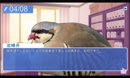 画像ギャラリー No.005のサムネイル画像 / 鳥専門の恋愛ゲーム「Hatoful Boyfriend」のiOS版が配信開始
