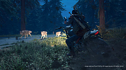 画像ギャラリー No.001のサムネイル画像 / オープンワールドサバイバル「Days Gone」の日本語吹き替えトレイラーが公開