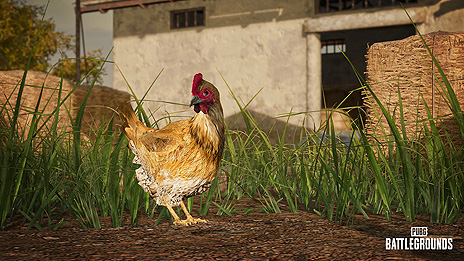 画像ギャラリー No.005のサムネイル画像 / 「PUBG: BATTLEGROUNDS」のアップデート14.2が実施。新武器，新要素“DBNO Swimming”，Taegoマップへの“鶏”実装など