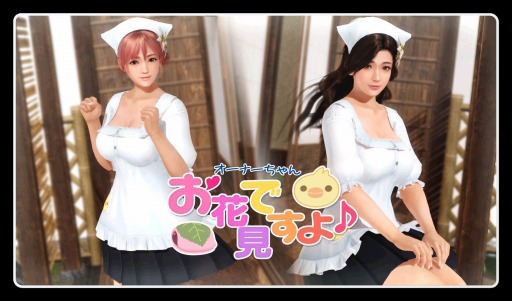 画像ギャラリー No.013のサムネイル画像 / 「DOAXVV」，「もうすぐコラボ！新任オーナー様応援キャンペーン」が開催