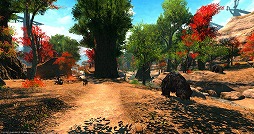 画像ギャラリー No.004のサムネイル画像 / いざ，アラミゴ＆ドマの解放へ！ 「FFXIV：紅蓮のリベレーター」のプレイレポートをお届け。クガネ登山もやってみた