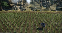 画像ギャラリー No.013のサムネイル画像 / いざ，アラミゴ＆ドマの解放へ！ 「FFXIV：紅蓮のリベレーター」のプレイレポートをお届け。クガネ登山もやってみた