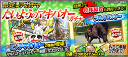 画像ギャラリー No.002のサムネイル画像 / 「StarHorsePocket」，「たいようのマキバオー」とのコラボが開催