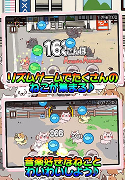 ねこび〜と