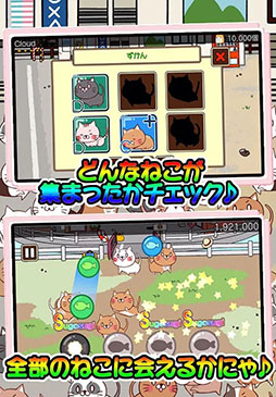 ねこび〜と