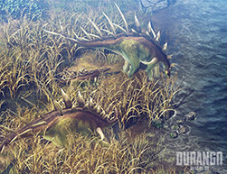 画像ギャラリー No.004のサムネイル画像 / ネクソン，「Durango: Wild Lands」の正式サービスを韓国で開始。事前予約者はネクソングループ史上最高となる250万名を記録