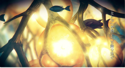 画像ギャラリー No.002のサムネイル画像 / 「ミトラスフィア -MITRASPHERE-」の世界観紹介PVが公開。事前登録50万突破につき“海晶石 25個＋250個”も配布決定