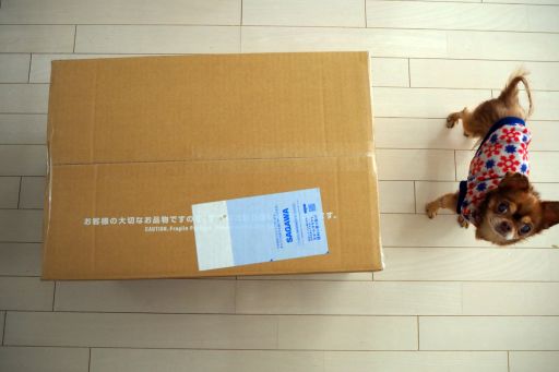 画像ギャラリー No.002のサムネイル画像 / 初めてのスケールフィギュアは「崩壊3rd」の「フカ・雲墨丹心 蒼い鳥の庭Ver.」にした話（「買い物Surfer」第21回）