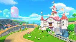画像ギャラリー No.006のサムネイル画像 / 「マリオカート8 デラックス」，有料追加コンテンツ“コース追加パス第4弾”は3月9日10：00に配信決定。紹介映像も公開