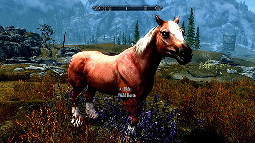 画像ギャラリー No.007のサムネイル画像 / Switch向け「The Elder Scrolls V: Skyrim Anniversary Upgrade」，突如配信開始。“Skyrim”本編とのバンドル版も