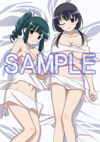 画像ギャラリー No.001のサムネイル画像 / 「咲-Saki-全国編Plus」 ，ビジュアルファンブック中巻の情報が公開　