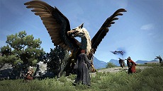 画像ギャラリー No.009のサムネイル画像 / PC/PS4/Xbox One版「ドラゴンズドグマ：ダークアリズン」の最新PVが公開に。PS4版の数量限定特典は「DDON」で使用可能な“なりきり装備”