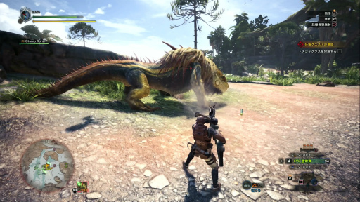 画像ギャラリー No.033のサムネイル画像 / 「MONSTER HUNTER: WORLD」狩猟生活ノススメ 第1回：見た目は凄腕，中身はド素人！ 新米ハンター，新大陸に立つ