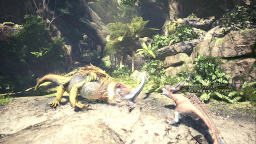 画像ギャラリー No.034のサムネイル画像 / 「MONSTER HUNTER: WORLD」狩猟生活ノススメ 第1回：見た目は凄腕，中身はド素人！ 新米ハンター，新大陸に立つ