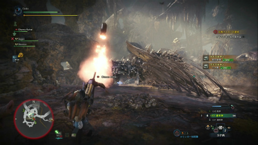 画像ギャラリー No.020のサムネイル画像 / 「MONSTER HUNTER: WORLD」狩猟生活ノススメ 第4回：ド素人ハンター，ついにマルチプレイの味を知る
