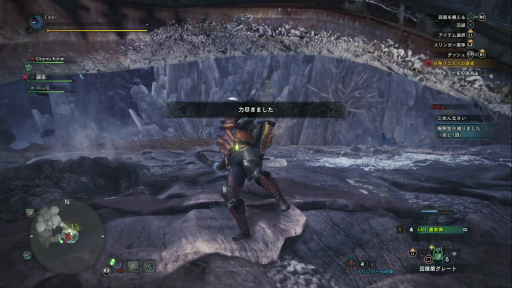 画像ギャラリー No.030のサムネイル画像 / 「MONSTER HUNTER: WORLD」狩猟生活ノススメ 第4回：ド素人ハンター，ついにマルチプレイの味を知る