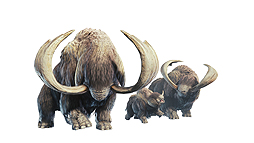 画像ギャラリー No.050のサムネイル画像 / 「MONSTER HUNTER WORLD: ICEBORNE」はPS4で9月6日，PCで今冬発売へ。新たなフィールドやモンスター，アクションの情報が一挙公開