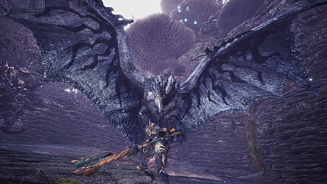 画像ギャラリー No.038のサムネイル画像 / 「MHW: ICEBORNE」，10月10日実施予定のアップデート情報が公開。ラージャン装備やマイハウスの新機能，導きの地の追加要素など
