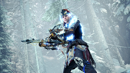 画像ギャラリー No.004のサムネイル画像 / ［gamescom］「MONSTER HUNTER WORLD: ICEBORNE」開発者インタビュー。ICEBORNEでも大人数向けコンテンツの実装を検討中