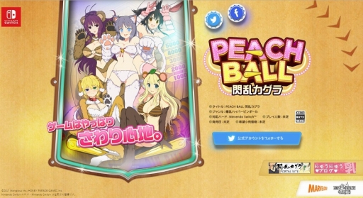 画像ギャラリー No.019のサムネイル画像 / 「閃乱カグラ」プロデューサー 高木謙一郎氏インタビュー。自宅である“ゲーム御殿”で，シリーズの“これまで”や“これから”，ルーツについて聞いた