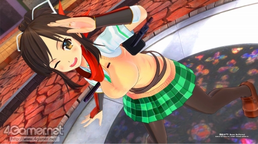 画像ギャラリー No.032のサムネイル画像 / 「閃乱カグラ」プロデューサー 高木謙一郎氏インタビュー。自宅である“ゲーム御殿”で，シリーズの“これまで”や“これから”，ルーツについて聞いた