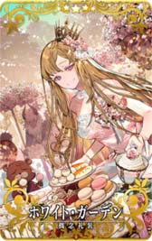画像ギャラリー No.013のサムネイル画像 / 「FGO Arcade」，新規サーヴァント「光のコヤンスカヤ」を2月2日に実装。“英霊巡遊獲得キャンペーン”も